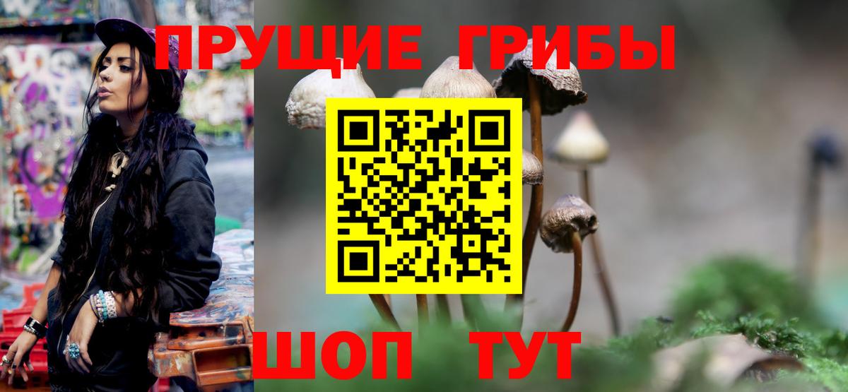 купить наркотик  Вход с VPN  Кисловодск  Галлюциногенные грибы GOLDEN TEACHER  Галлюциногенные грибы прущие грибы 