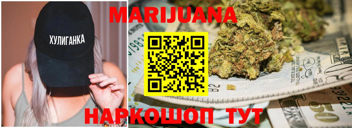 Конопля Кисловодск